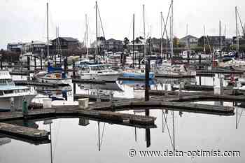 Are Canadian boats returning to Point Roberts Marina? - Delta-Optimist