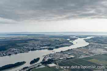 Delta's population shows modest growth - Delta-Optimist