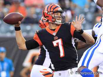 Saskatchewan Roughriders sign quarterback Jake Dolegala - Regina Leader-Post