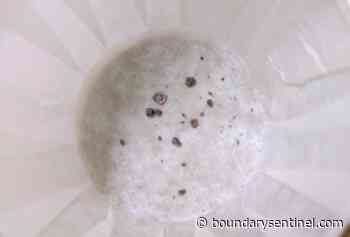 Fentanyl warning for Nelson area - The Boundary Sentinel