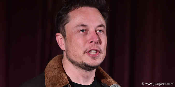 Elon Musk's Company Admits to Killing 8 Monkeys in Experiments