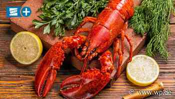 Siegen: Memories Meeresfrüchte – Imbiss der besonderen Art - WP News