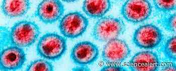 American Woman Appears to Be Entirely Cured of HIV After Unique Medical Treatment - ScienceAlert