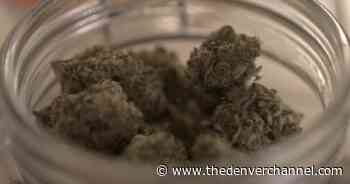 Access to medical marijuana still difficult for patients in some states - The Denver Channel