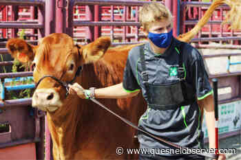 New 4-H Club launches in Quesnel – Quesnel Cariboo Observer - Quesnel - Cariboo Observer