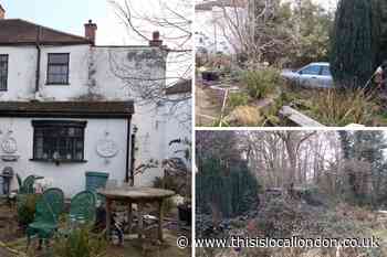 Beckenham man who refused to clear overgrown garden fined