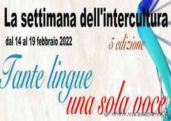 Il mondo a scuola: torna la Settimana dell'Intercultura a Gallarate - varesenews.it