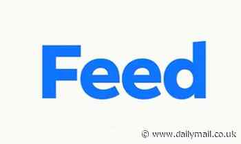Facebook rebrands its News Feed to Feed to 'better reflect the diverse content people see'