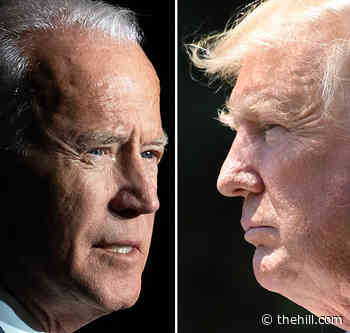 Biden orders Trump visitor logs turned over to Jan. 6 panel: report