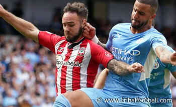 Southampton manager Hasenhuttl: Blame me for Armstrong form - Tribal Football