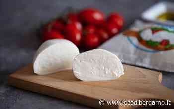 Caseificio Preziosa, eccellenza in tavola con Mozzarella di Seriate - L'Eco di Bergamo