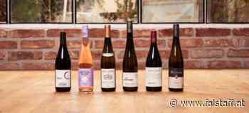 Die WEIN &amp; CO Geheim-Tipps: Winzer-Talente 2022