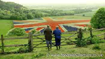 Aldi launches supplier contest for listings