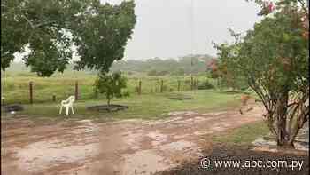 Lluvias favorecen al sector de la ganadería en Fuerte Olimpo - ABC Color