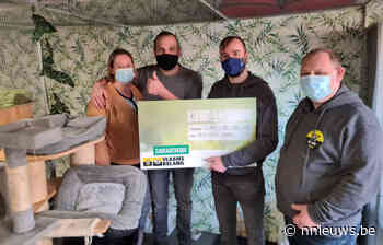 Steuntje voor kattenasiel vzw Little Jungle Sint-Jozef-Olen - Nnieuws.be