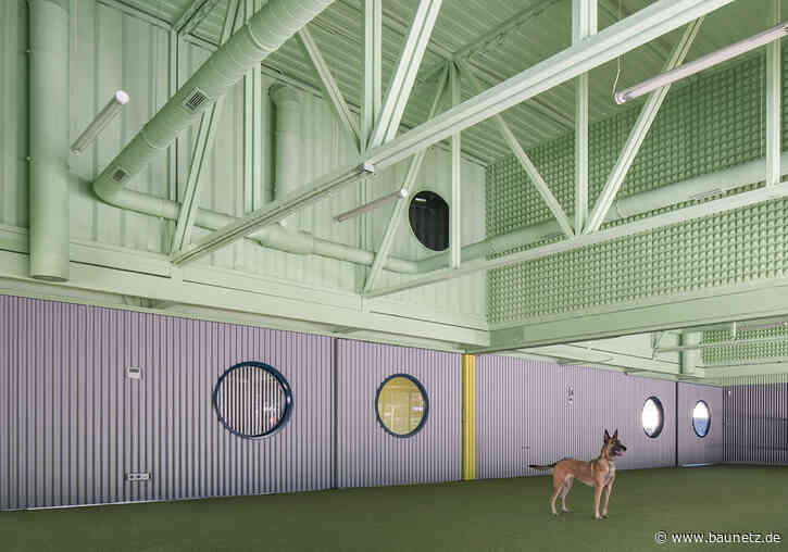 Für Mensch und Tier
 - Hundeschule bei Madrid von Lys Villalba und EEEstudio