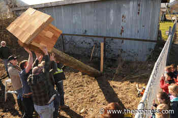 Owl box installed near Chilliwack school as part of 6-year-old's show-and-tell – Chilliwack Progress - Chilliwack Progress