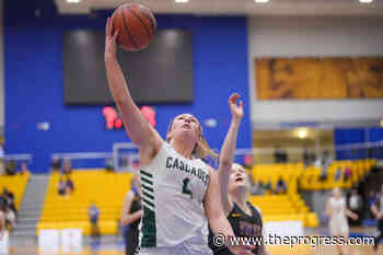 UFV Cascades women's basketball wins at UBC, Victoria – Chilliwack Progress - Chilliwack Progress