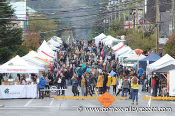 Cumberland's rec, arts and culture plan taking input soon – Comox Valley Record - Comox Valley Record