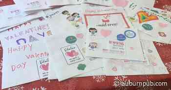 Girl Scouts: Early cookie booths coming to Cayuga County area - Auburn Citizen