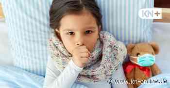 Darum sind viele Infektionskrankheiten in SH auf dem Rückzug