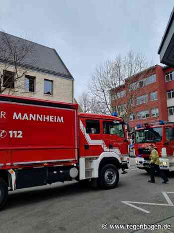Schulbrand im Johann-Bach-Gymnasium Mannheim - Regenbogen