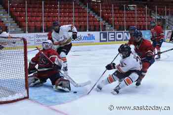Maulers to face Saskatoon Blazers in annual charity event - SaskToday.ca