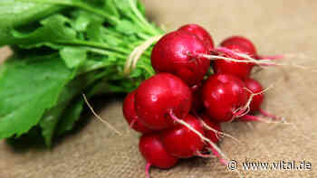 3 Gründe, warum Sie Radieschen essen sollten - Vital