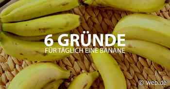 Warum Sie jeden Tag eine Banane essen sollten: 6 Gründe, die dafür sprechen - WEB.DE News