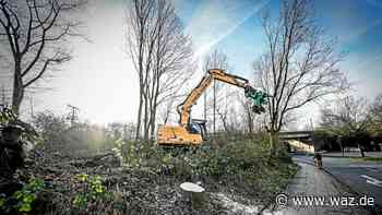 Neuer Firmensitz: WG Essen-Nord bleibt Altendorf treu - WAZ News