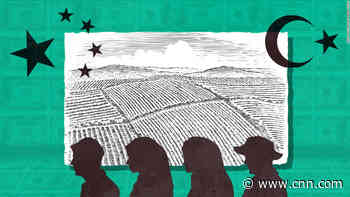 Development bank accused of lending millions to firms allegedly linked to forced labor in Xinjiang