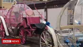 Blackpool Cinderella carriage driver caught using phone at reins