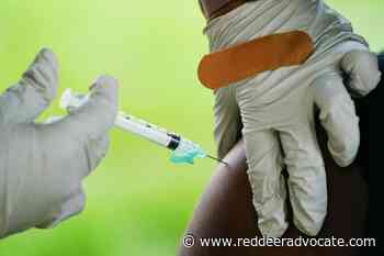 COVID-19 vaccine in pregnancy may protect babies after birth - Red Deer Advocate