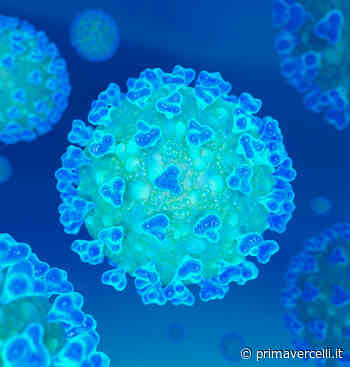Covid Piemonte: quarta settimana con incidenza in picchiata - Prima Vercelli