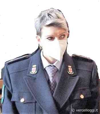 VERCELLI – Potature delle alberate pubbliche - VercelliOggi.it - vercellioggi.it/