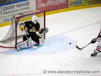 Cornwall Colts vs. Smiths Falls Bears, Feb. 12, 2022 - Standard Freeholder