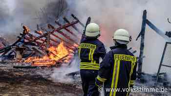Kilometerweite Rauchsäule: Ehemaliges Sägewerk nahe Wittenberg steht in Flammen - Volksstimme