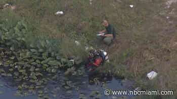 Woman Who'd Been Shot and Infant Found in Submerged Car in Pompano Beach Canal