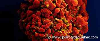 3e cas de guérison: 4 avancées dans la lutte au VIH