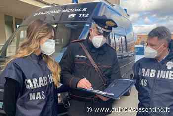 Alimenti scaduti nel congelatore del ristorante - Casentino