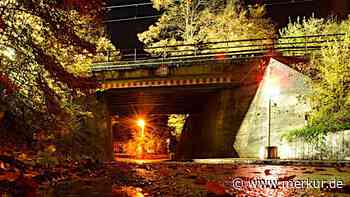 Fällungen für Baustelle - Merkur Online
