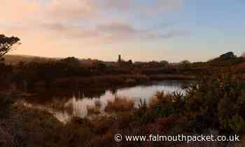 Cornish Tin mine company drilling in west Cornwall response - Falmouth Packet