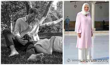 Camilla and Prince Harry share 'shoes and foot-care tips' from same brand - here's why - Express