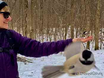 Cornwall Outdoor Club - The Cuteness Factor - The Seeker - The Seeker