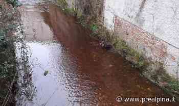 Saronno, la Lura si tinge di rosso - La Prealpina