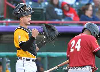 Detroit Tigers Top 20 Prospects: No. 3 Dillon Dingler - Motor City Bengals