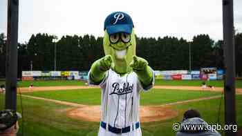 The curious case of Dillon the Pickle gets even curiouser - Oregon Public Broadcasting