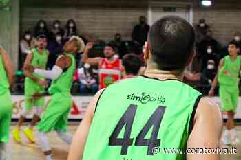 Adriatica Industriale ancora in campo: al Palalosito arriva Trani - CoratoViva