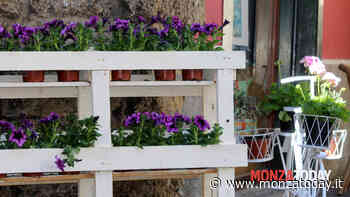 Mercatino di Primavera - MonzaToday