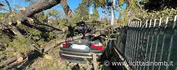 Vento forte: oltre cinquanta interventi a Monza e provincia, rami caduti sulle auto in città - FOTO - Il Cittadino di Monza e Brianza
